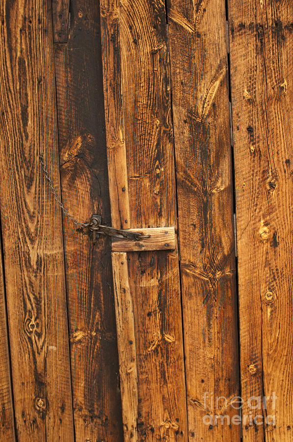 Barn Door And Latch Photograph by Scott Camazine