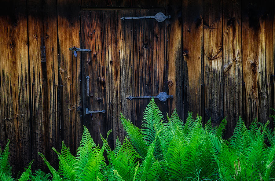 Barn Door Photograph by Darylann Leonard Photography