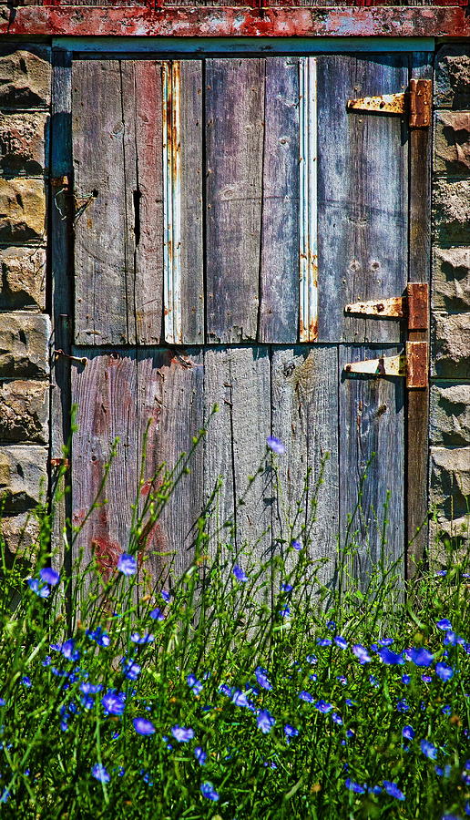 Barn Door Photograph by Virginia Folkman