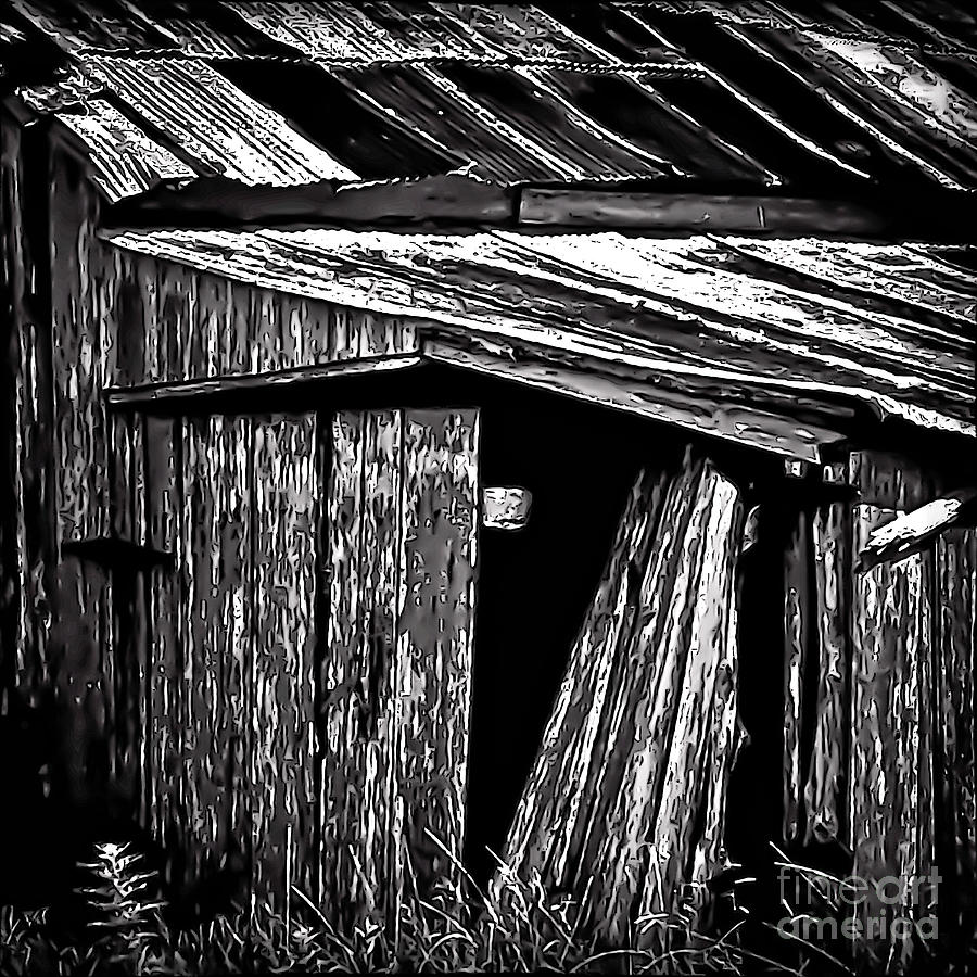 Barn Doors Photograph by Walt Foegelle