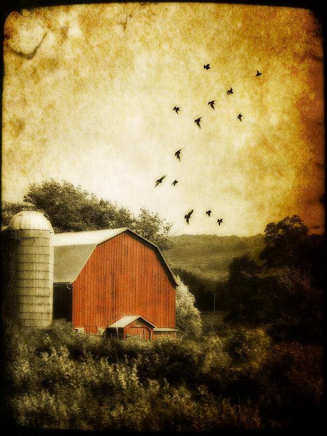 Barn Photograph by Gothicrow Images - Fine Art America