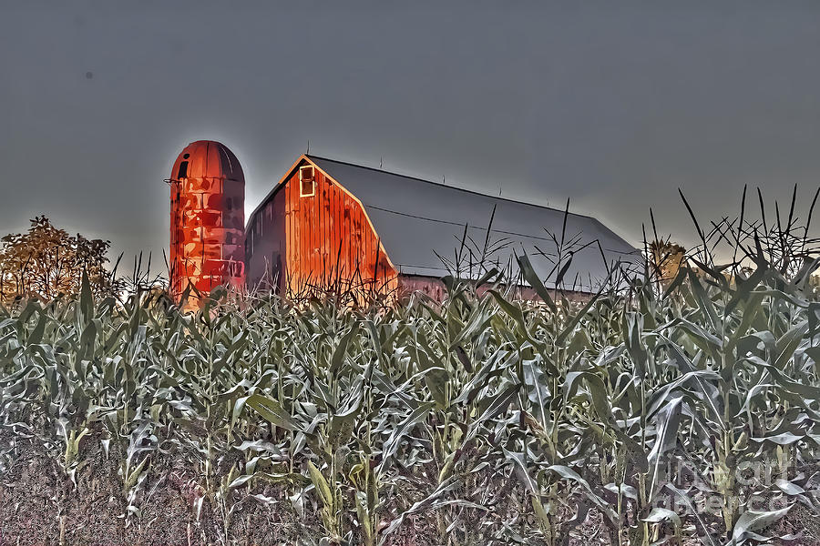 Barn in a corn field Photograph by Jim Lepard