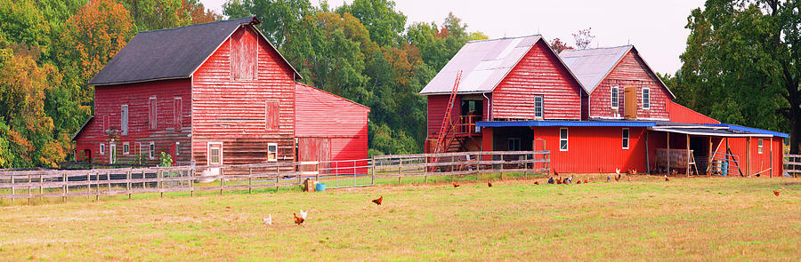 Barn In A Field, Route 34, Colts Neck Photograph by Panoramic Images ...