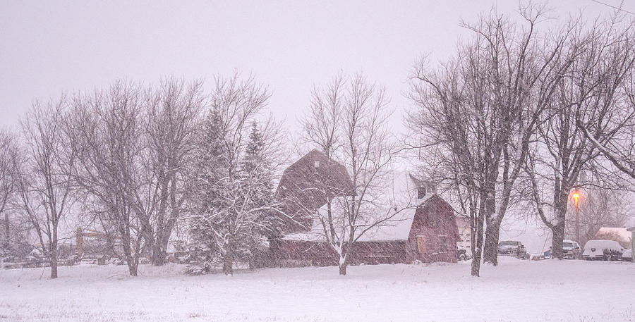 Barn in a Snowstorm Photograph by Guy Whiteley