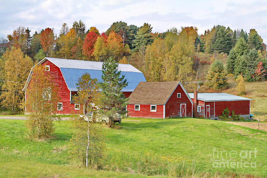 Barn In Autumn Photograph by Deborah Benoit