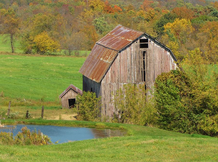 Barn In Autumn Photograph by Lori Frisch