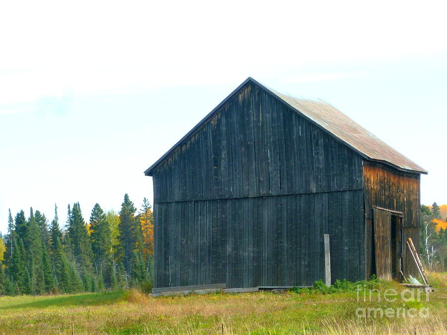 Barn In Autumn Photograph by Wild Rose Studio