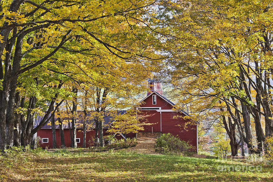 Barn In Autumn Woods Photograph by Alan L Graham