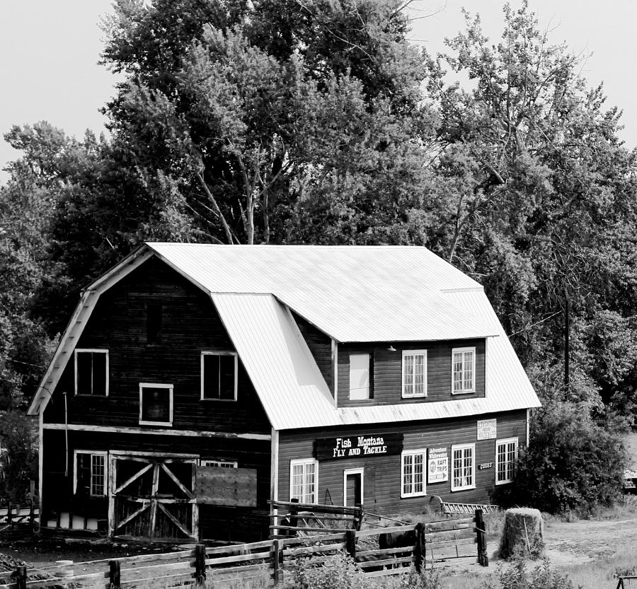 Barn in Black and White Photograph by Cathy Anderson