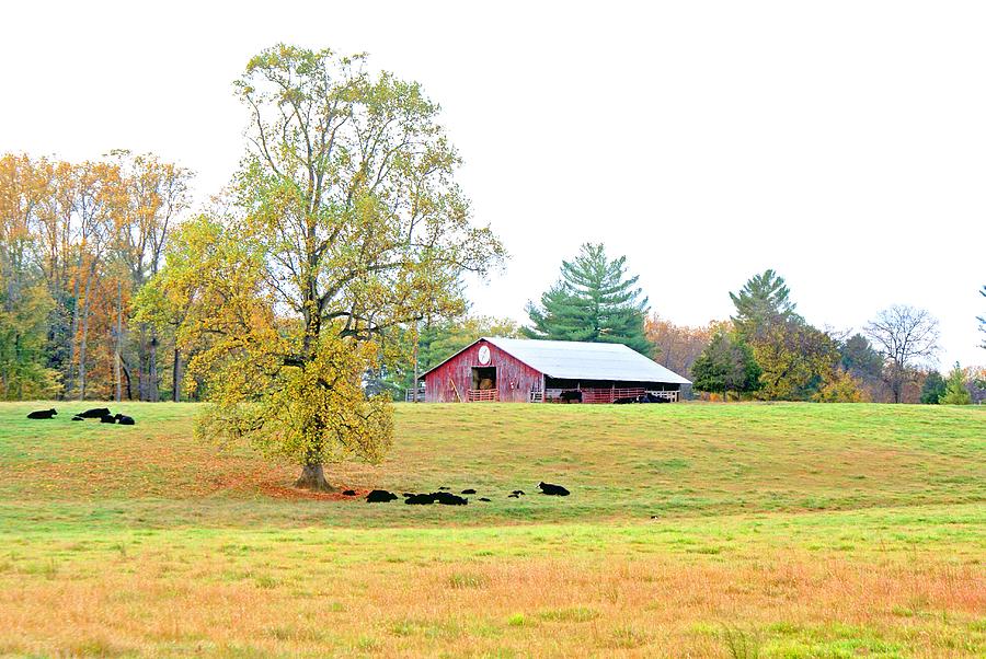 Barn in Early Fall Photograph by Bill TALICH