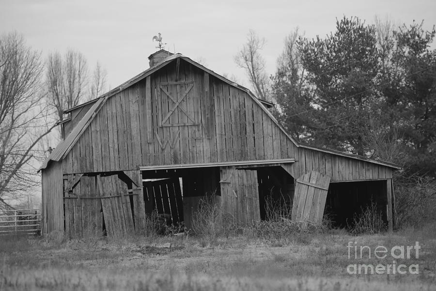 barn in Kentucky  no 5 Photograph by Dwight Cook