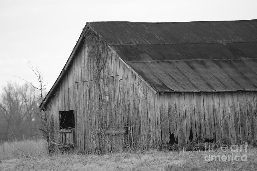 barn in Kentucky no 6 Photograph by Dwight Cook