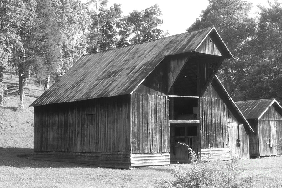 Barn In Kentucky No 11 Photograph