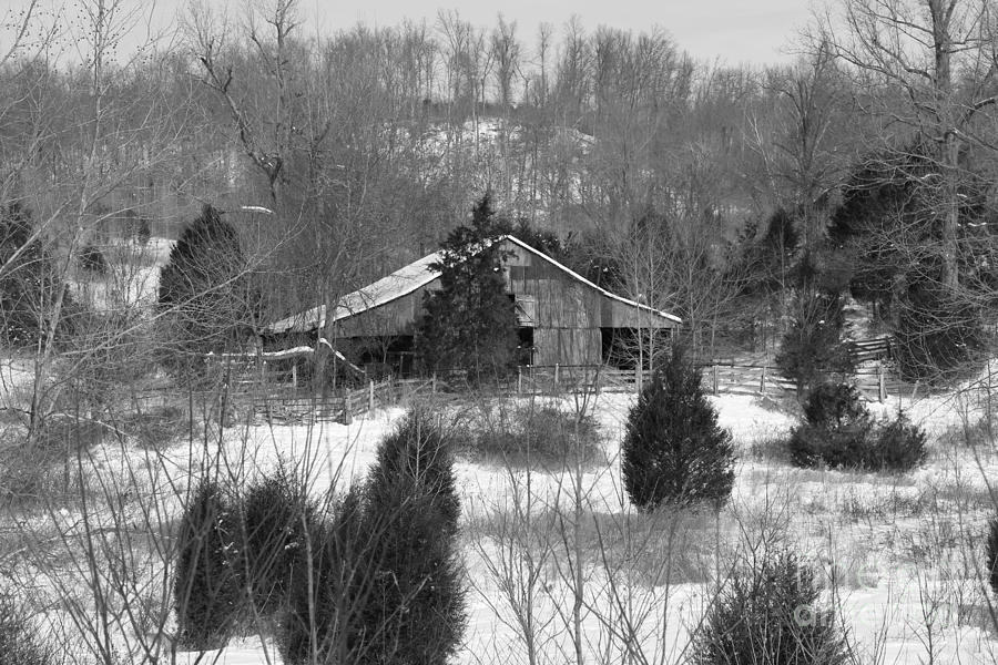 Barn In Kentucky No 12 Photograph