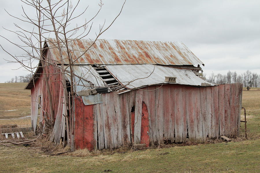 Barn In Kentucky No 27 Photograph