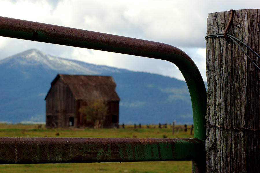 Barn in Oregon Countryside Photograph by Daniel Woodrum