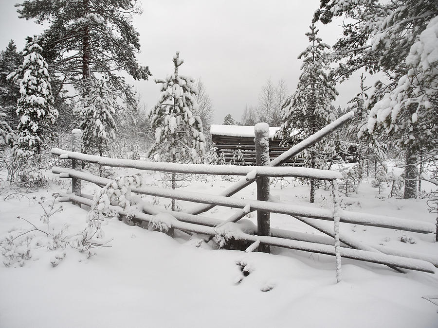 Barn in Seitseminen winter Photograph by Jouko Lehto