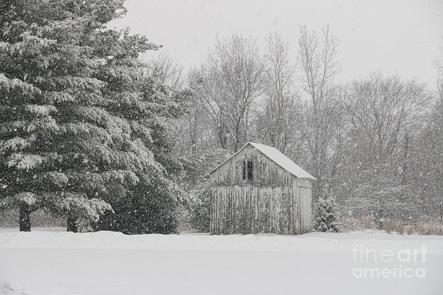 Barn in Snow 2  7000 Photograph by Jack Schultz
