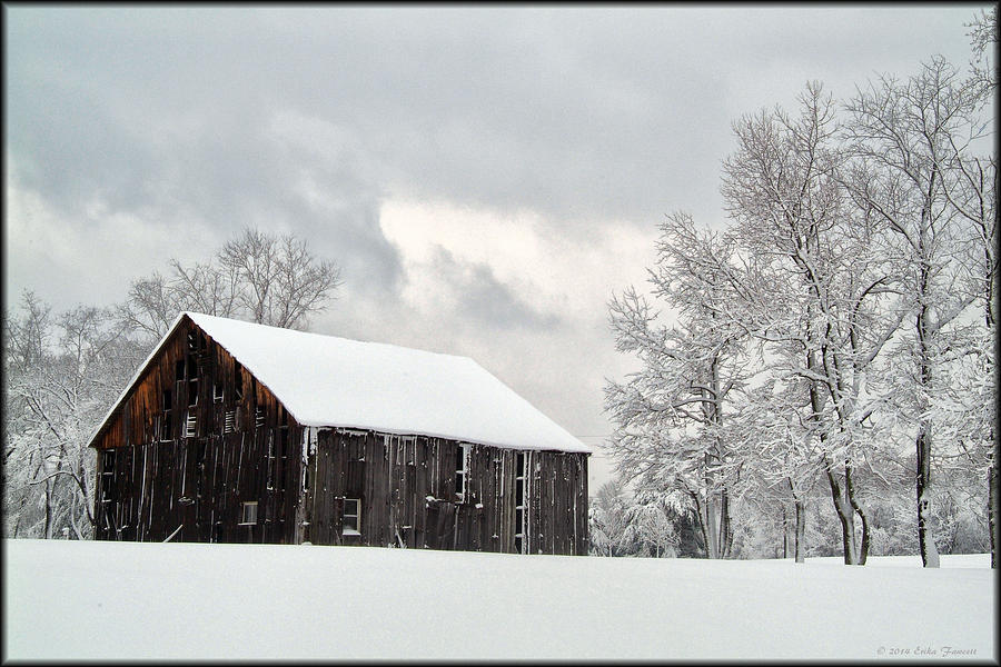 Barn in Snow Photograph by Erika Fawcett