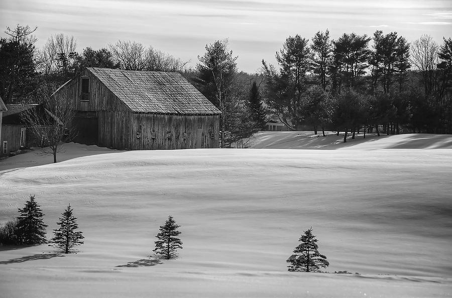 Barn in Snow in Black and White Photograph by Donna Doherty