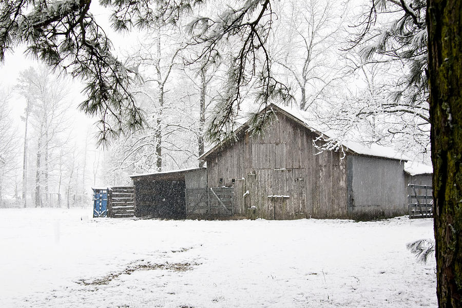 Barn in Snow Photograph by Robert Camp