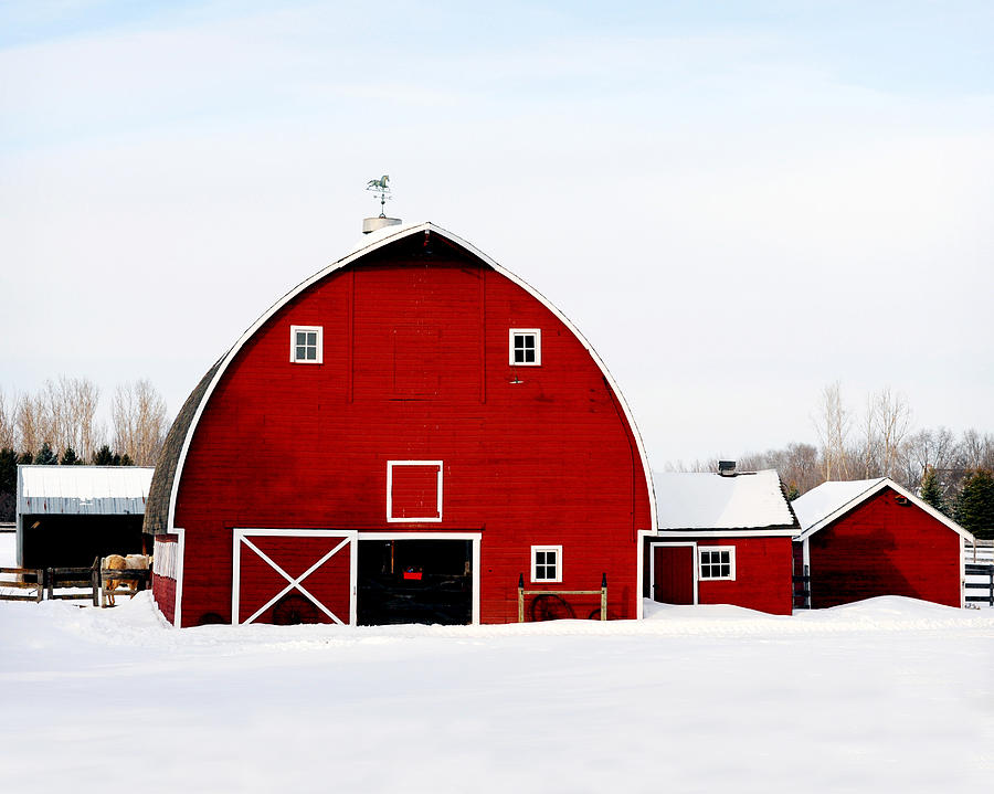 Horse Photograph - Barn in Snow by Val Stone Creager