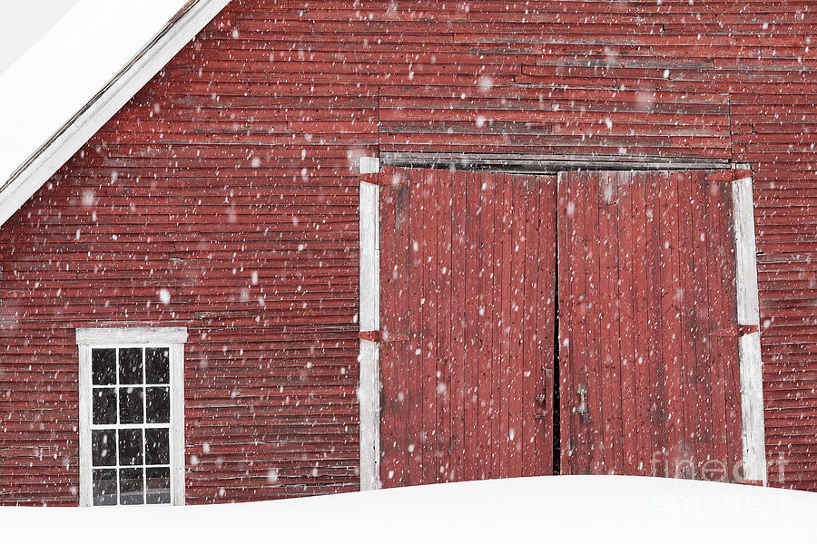 Barn In Snowfall Photograph by Alan L Graham