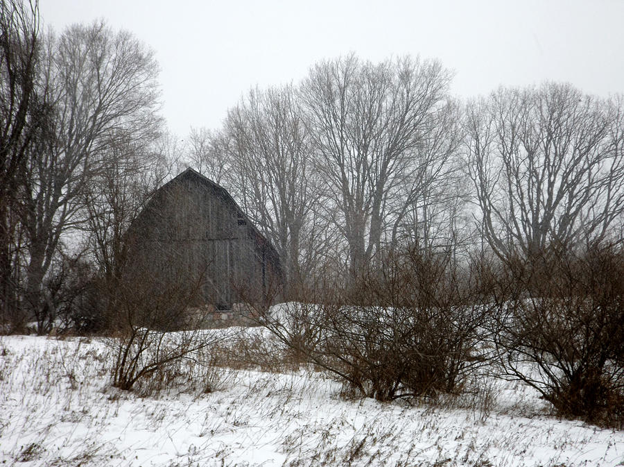 Barn In Snowstorm Photograph