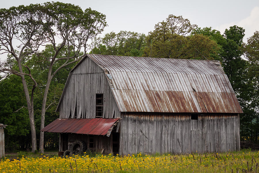 Barn In Summer Photograph By Deb Henman - Fine Art America