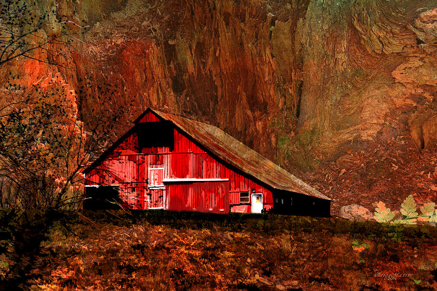 Tree Photograph - Barn In The Canyon by Ericamaxine Price