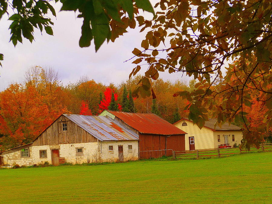 Barn In The Country Photograph by Lingfai Leung