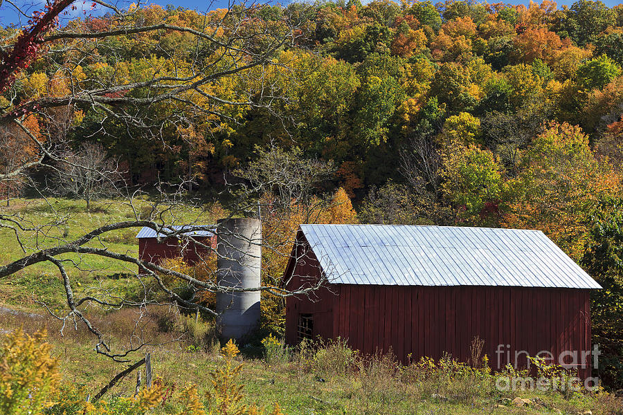 Barn in the Fall Photograph by Jill Lang