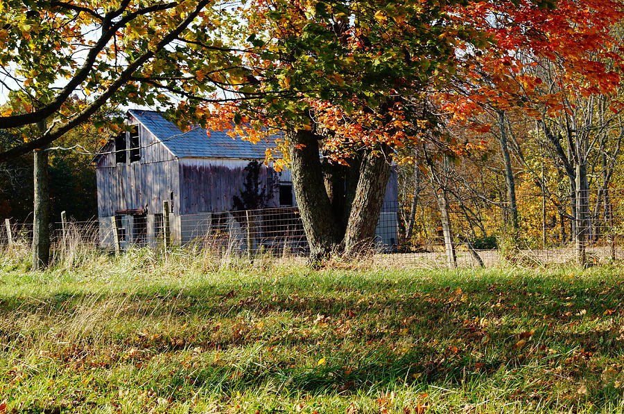 Barn in the Fall Photograph by Mike Murdock