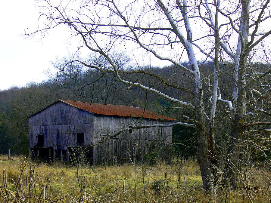 Barn In The Woods Featured In Old Building And Ruins Group