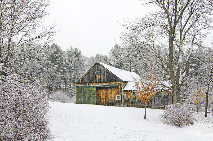 Barn in Winter Photograph by Donna Doherty