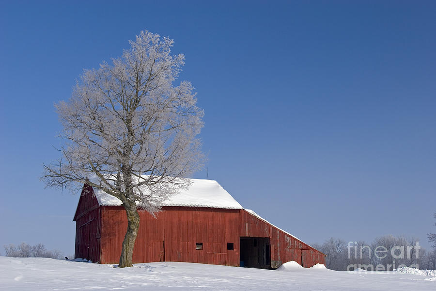 Barn in Winter Photograph by Jim West