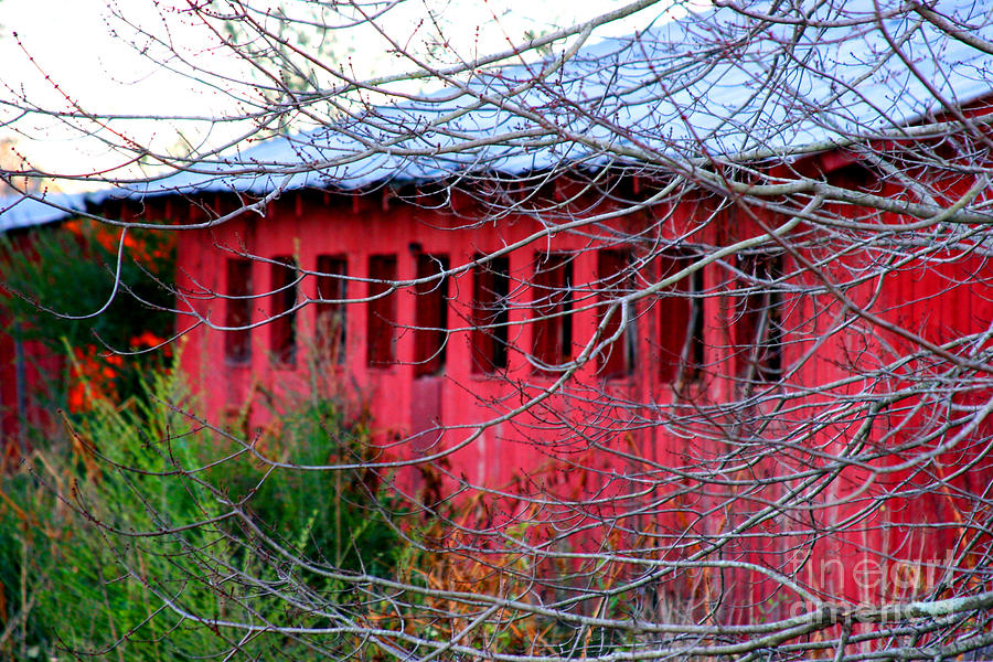 Barn of Red by Diana Sainz Photograph by Diana Raquel Sainz