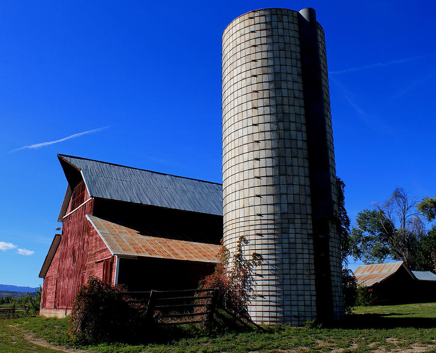 Barn On A Summer Day Photograph by Trent Mallett