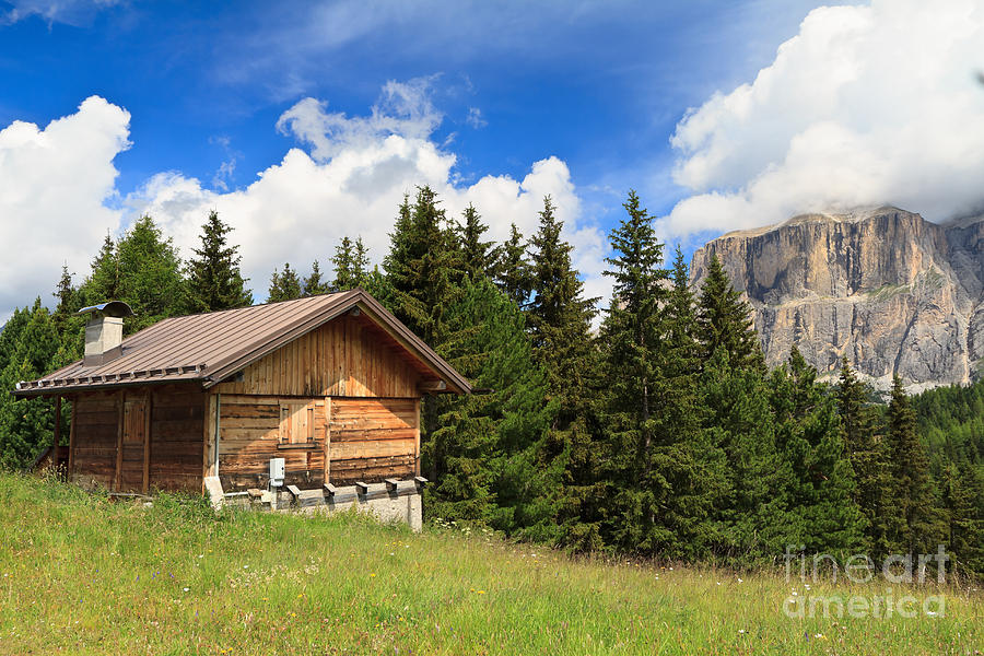 barn on Alpine pasture Photograph by Antonio Scarpi