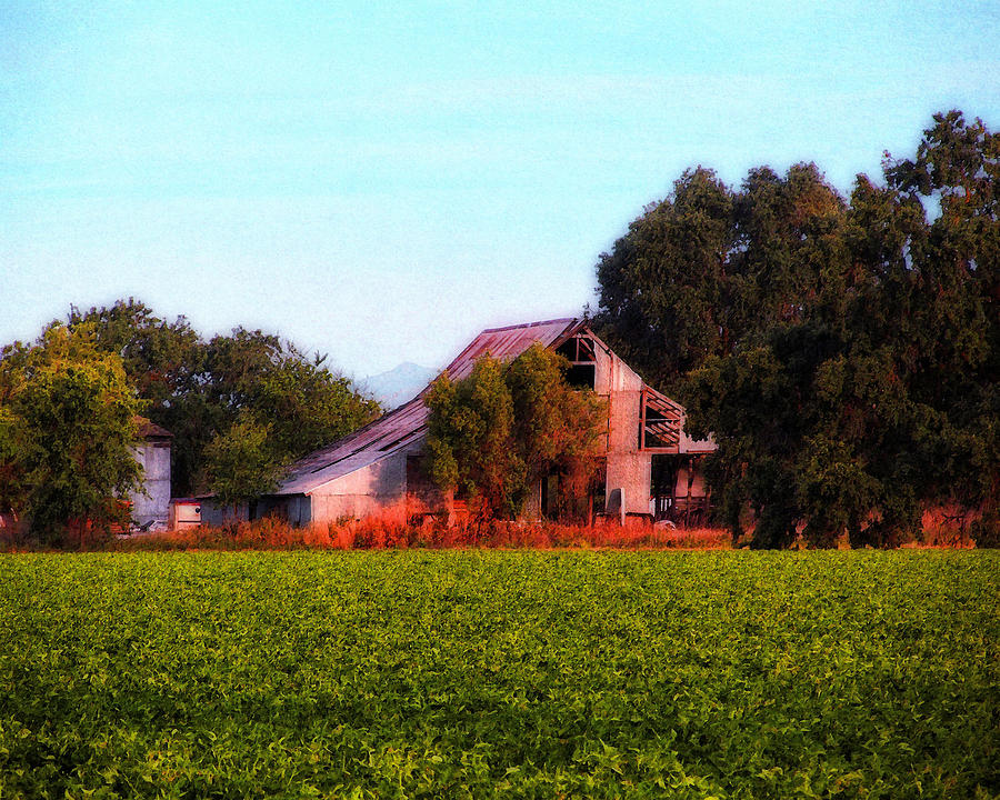 Barn on Covell Road 3 Photograph by Timothy Bulone