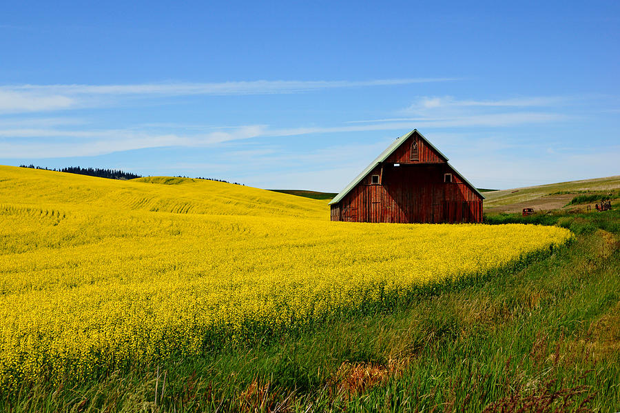 Barn on the Palouse Photograph by Daniel Woodrum