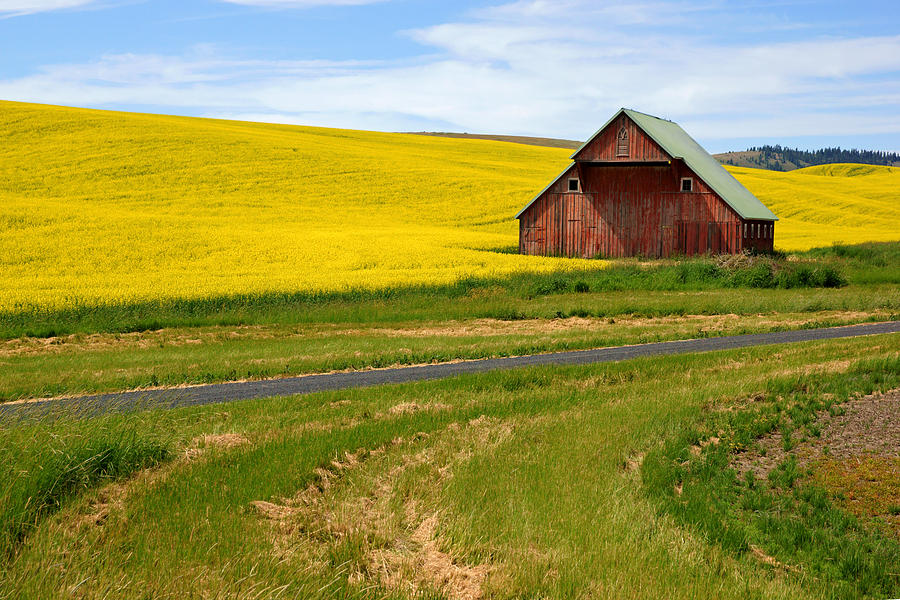 Barn on the Palouse No.2 Photograph by Daniel Woodrum