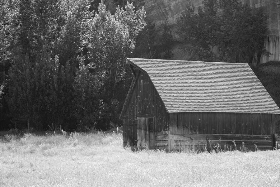 Barn Out West Photograph by Natalie Rotman Cote