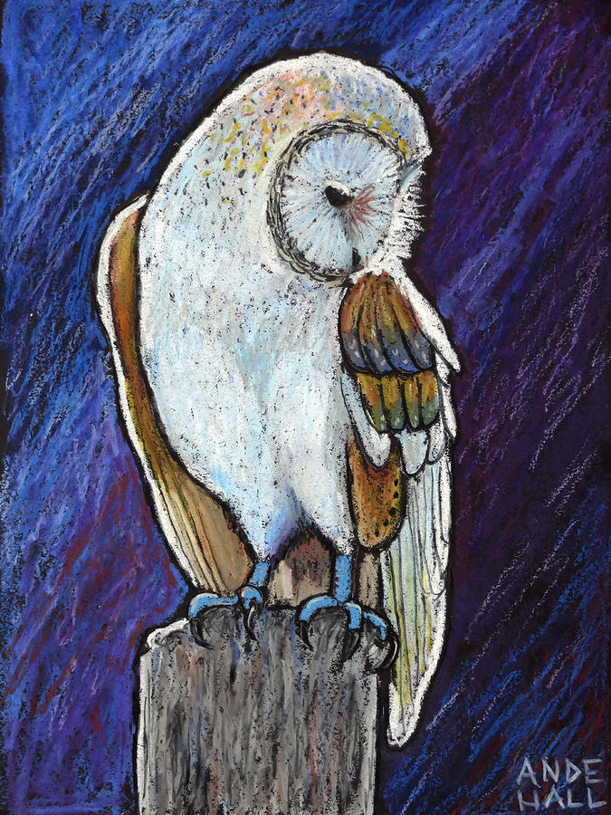 Barn Owl  Painting by Ande Hall