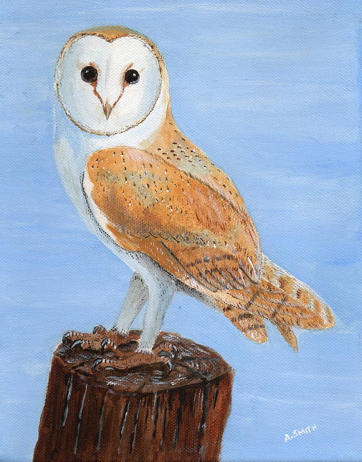 Nature Painting - Barn Owl by Anne Oxley