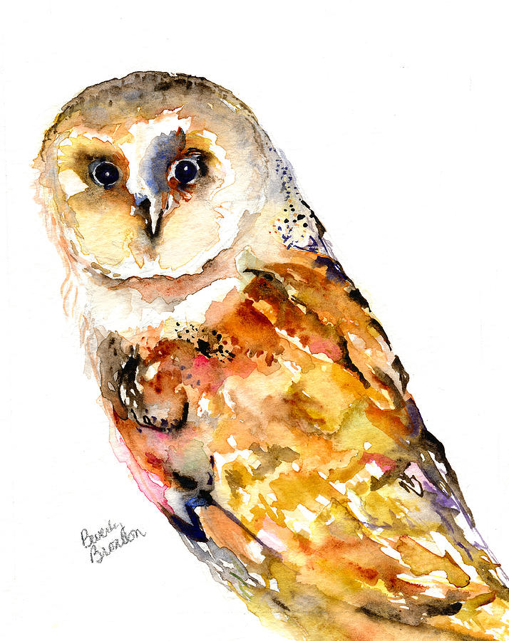 Barn Owl Painting By Beverly Bronson