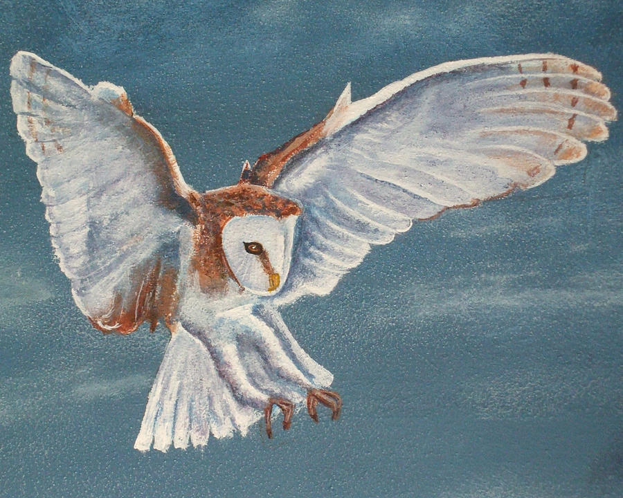 Barn Owl Painting by Dan Wagner