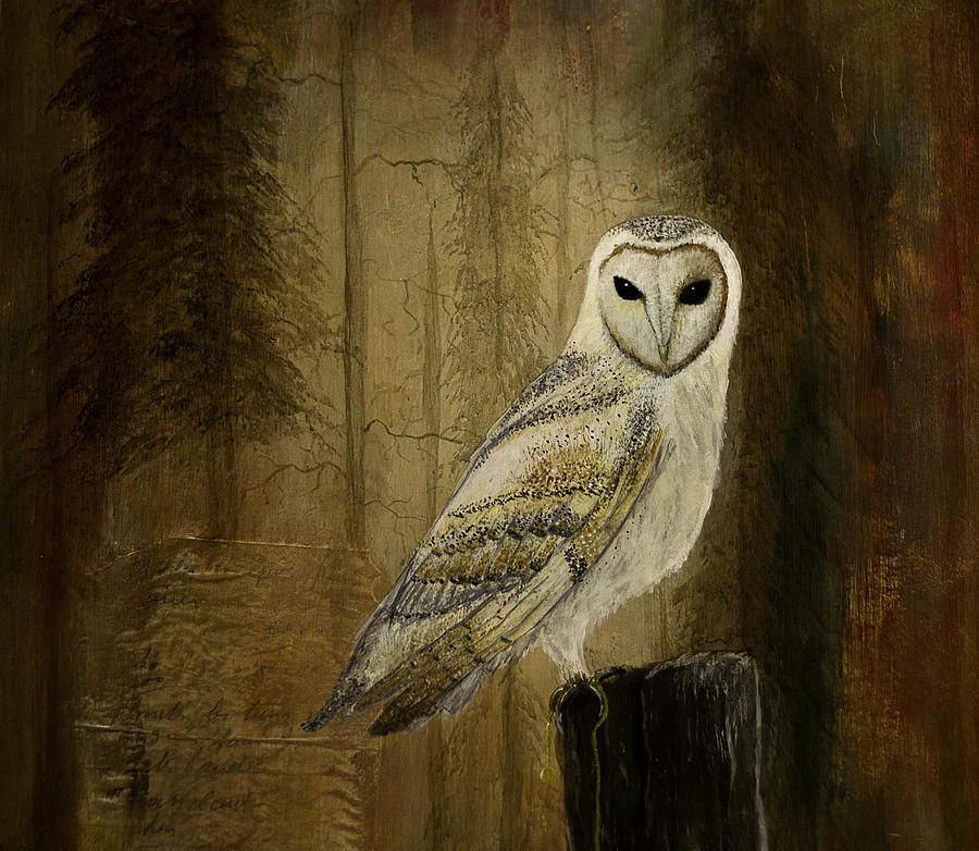 Barn Owl Painting by Gray  Artus