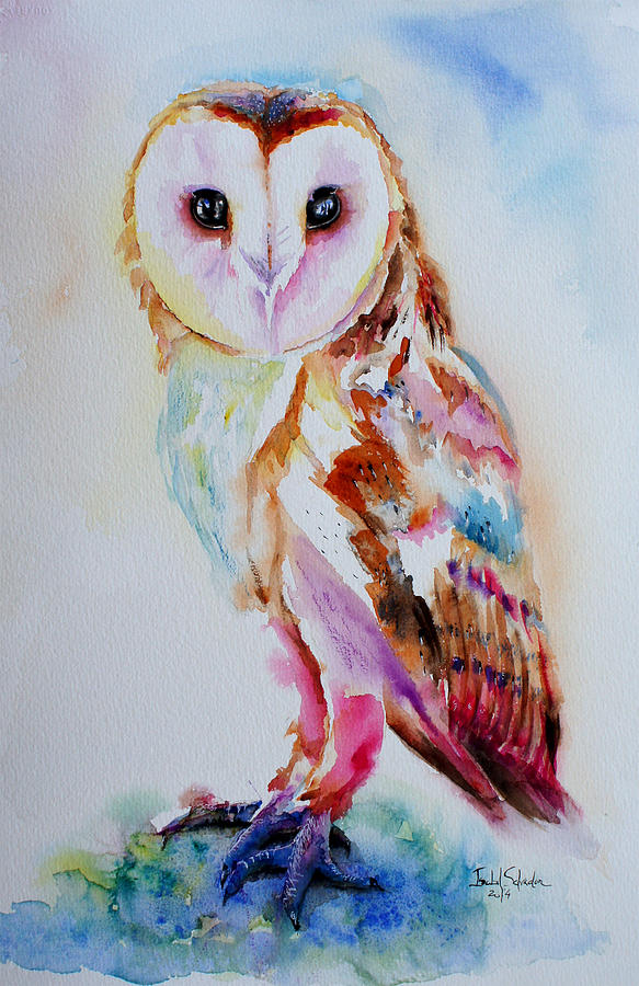 Barn Owl Painting by Isabel Salvador