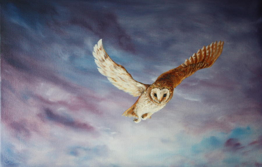 Barn Owl Painting by Jean Walker